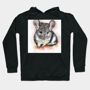 cute chinchilla 2 Hoodie